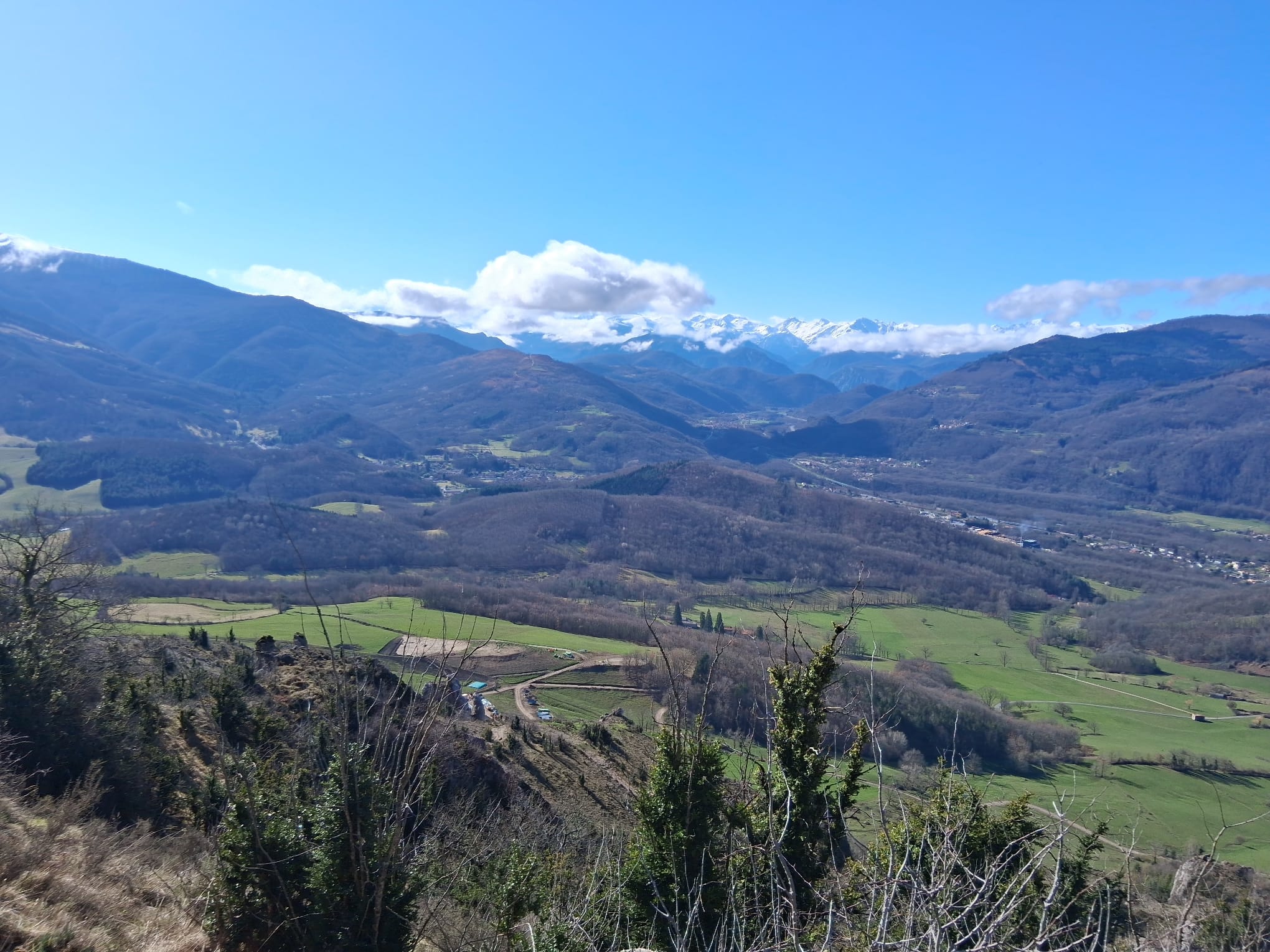 Étudiants en conversation dans un café